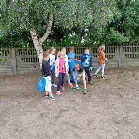 Wyświetl org. rozmiar