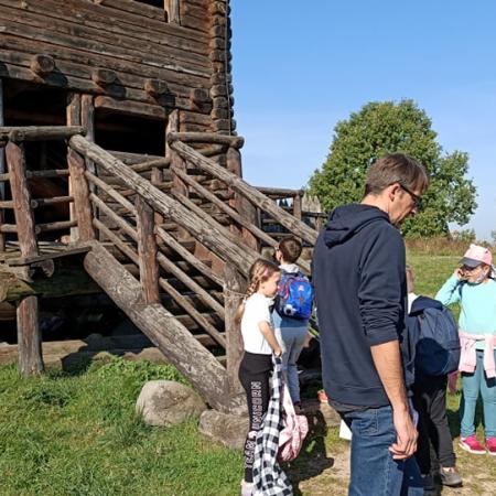 Wyświetl org. rozmiar
