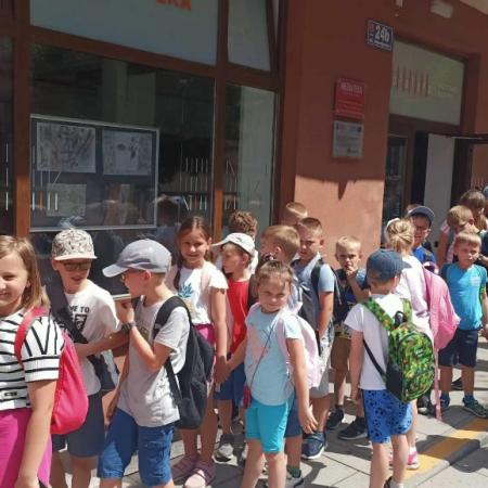 Wyświetl org. rozmiar