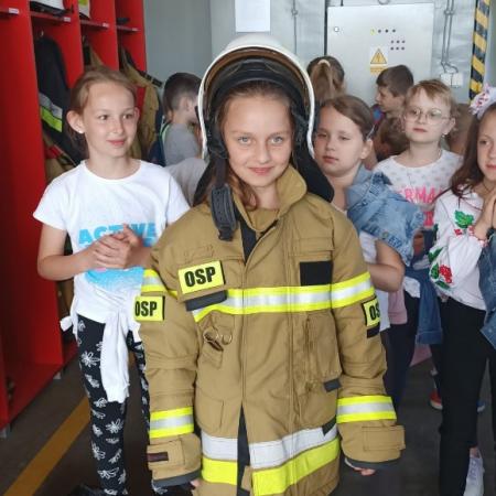 Wyświetl org. rozmiar