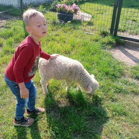 Wyświetl org. rozmiar