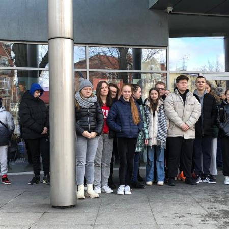 Wyświetl org. rozmiar