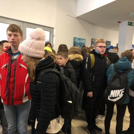 Wyświetl org. rozmiar