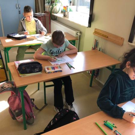 Wyświetl org. rozmiar
