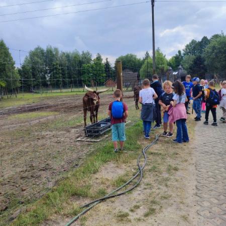 Wyświetl org. rozmiar