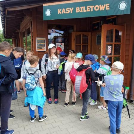 Wyświetl org. rozmiar
