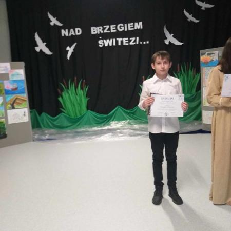 Wyświetl org. rozmiar
