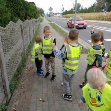 Wyświetl org. rozmiar