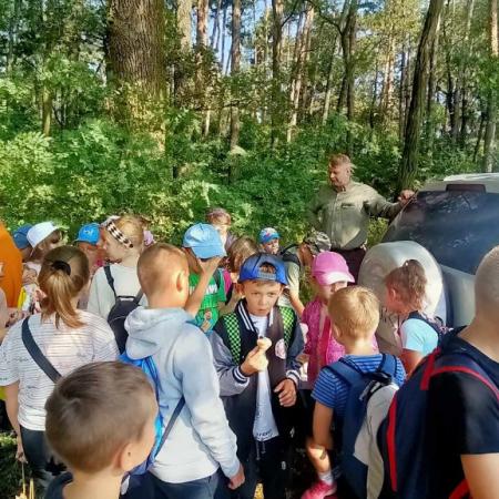Wyświetl org. rozmiar