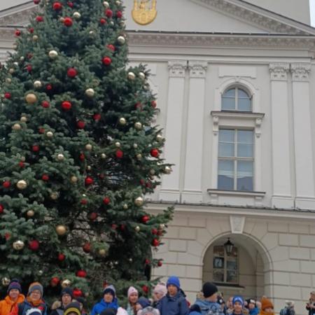 Wyświetl org. rozmiar