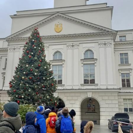 Wyświetl org. rozmiar