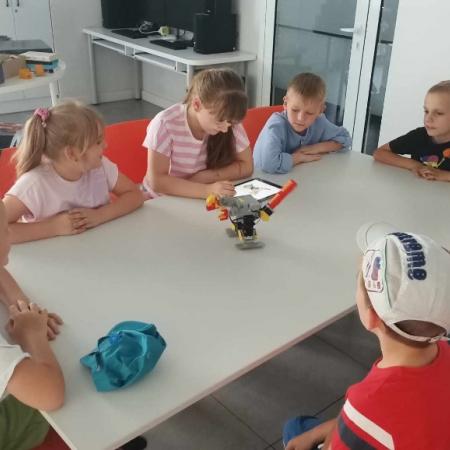 Wyświetl org. rozmiar