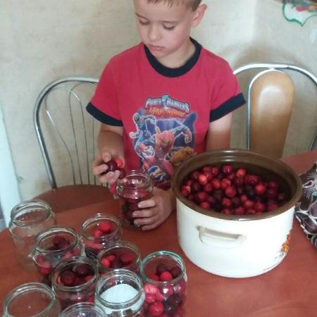 Wyświetl org. rozmiar