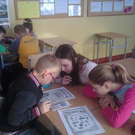 Wyświetl org. rozmiar