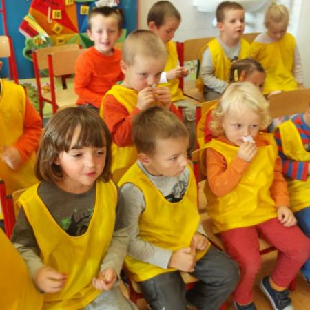 Wyświetl org. rozmiar