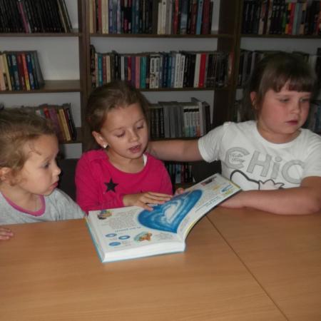 Wyświetl org. rozmiar