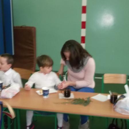 Wyświetl org. rozmiar
