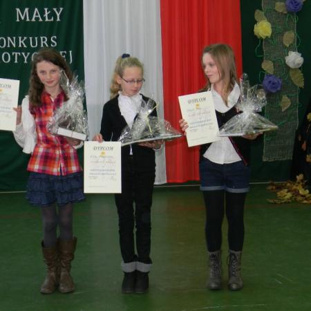 Wyświetl org. rozmiar