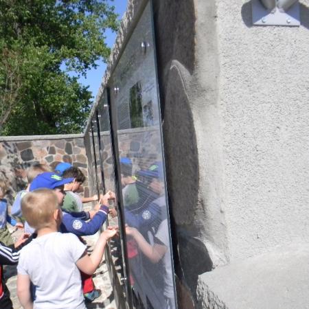 Wyświetl org. rozmiar