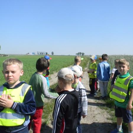 Wyświetl org. rozmiar