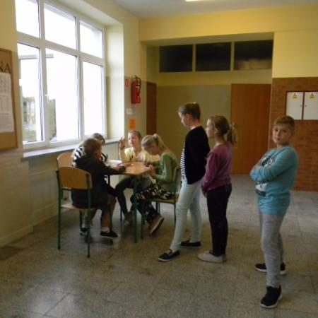 Wyświetl org. rozmiar