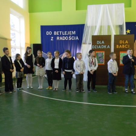 Wyświetl org. rozmiar