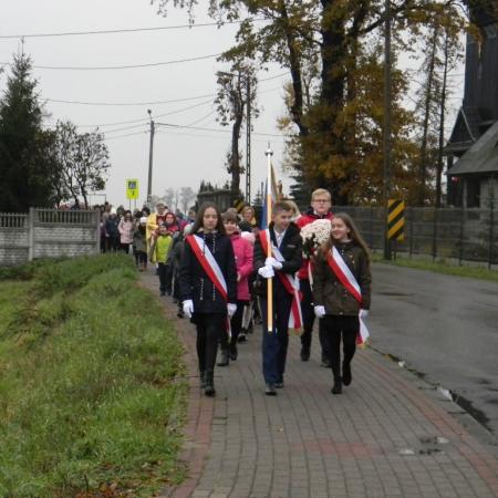 Wyświetl org. rozmiar