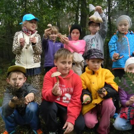 Wyświetl org. rozmiar