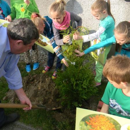 Wyświetl org. rozmiar