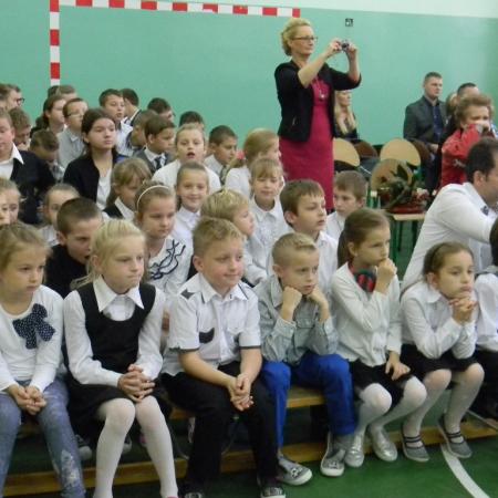 Wyświetl org. rozmiar