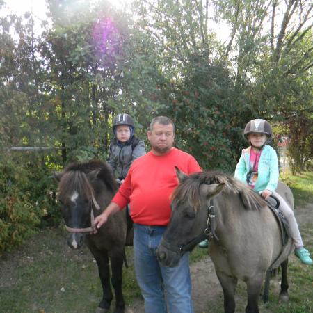 Wyświetl org. rozmiar