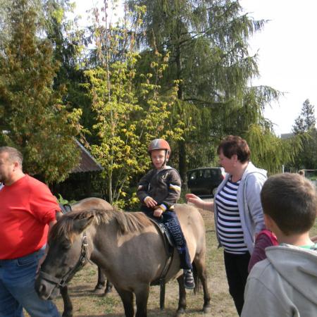 Wyświetl org. rozmiar