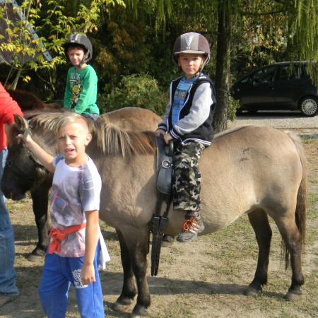 Wyświetl org. rozmiar