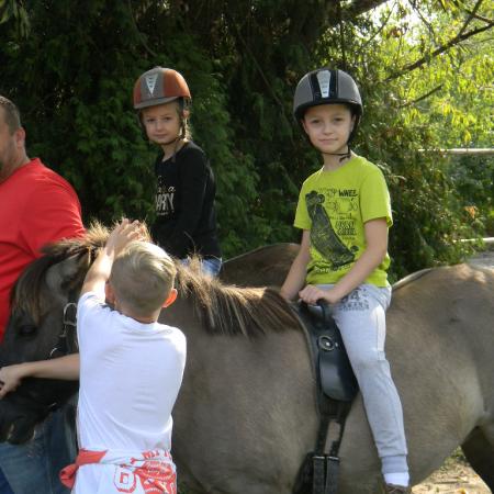 Wyświetl org. rozmiar