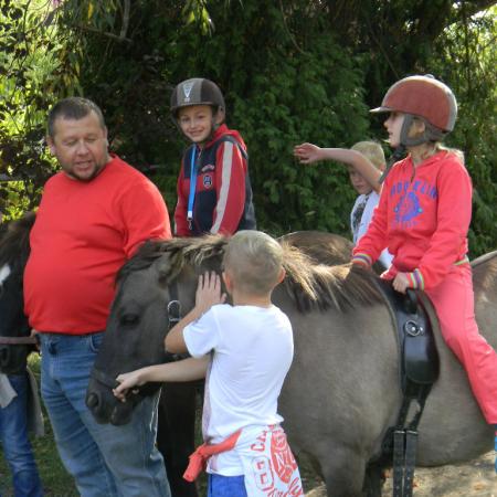 Wyświetl org. rozmiar