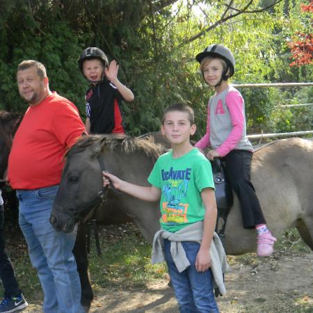 Wyświetl org. rozmiar
