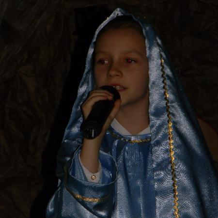 Wyświetl org. rozmiar