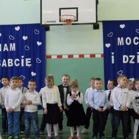 Wyświetl org. rozmiar