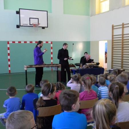 Wyświetl org. rozmiar