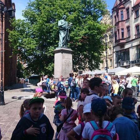Wyświetl org. rozmiar