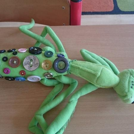 Wyświetl org. rozmiar