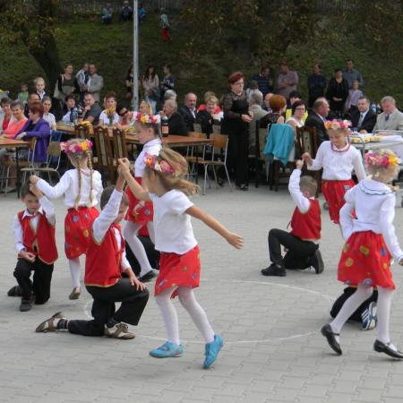 Wyświetl org. rozmiar