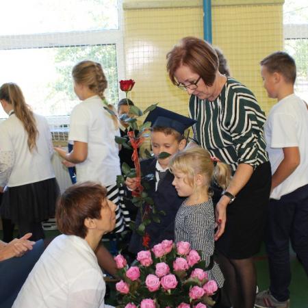 Wyświetl org. rozmiar