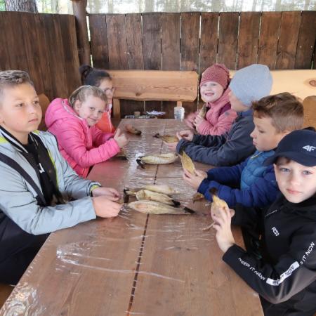 Wyświetl org. rozmiar