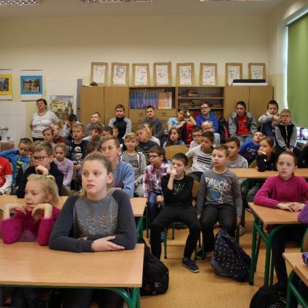 Wyświetl org. rozmiar