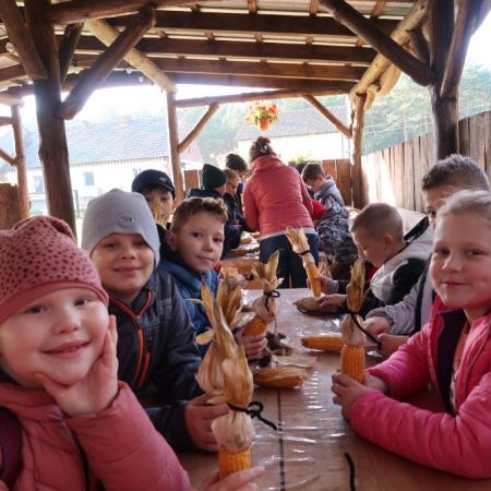 Wyświetl org. rozmiar