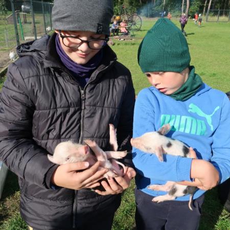 Wyświetl org. rozmiar
