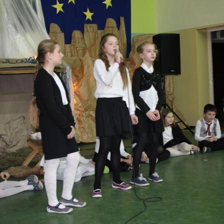 Wyświetl org. rozmiar