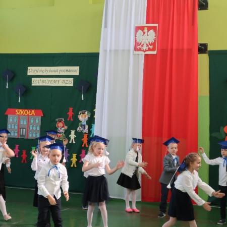 Wyświetl org. rozmiar