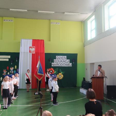Wyświetl org. rozmiar